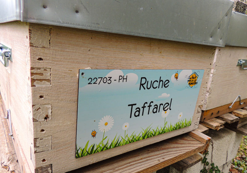 La ruche Taffarel