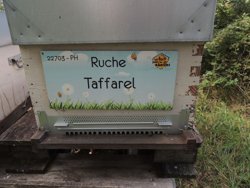 La ruche Taffarel