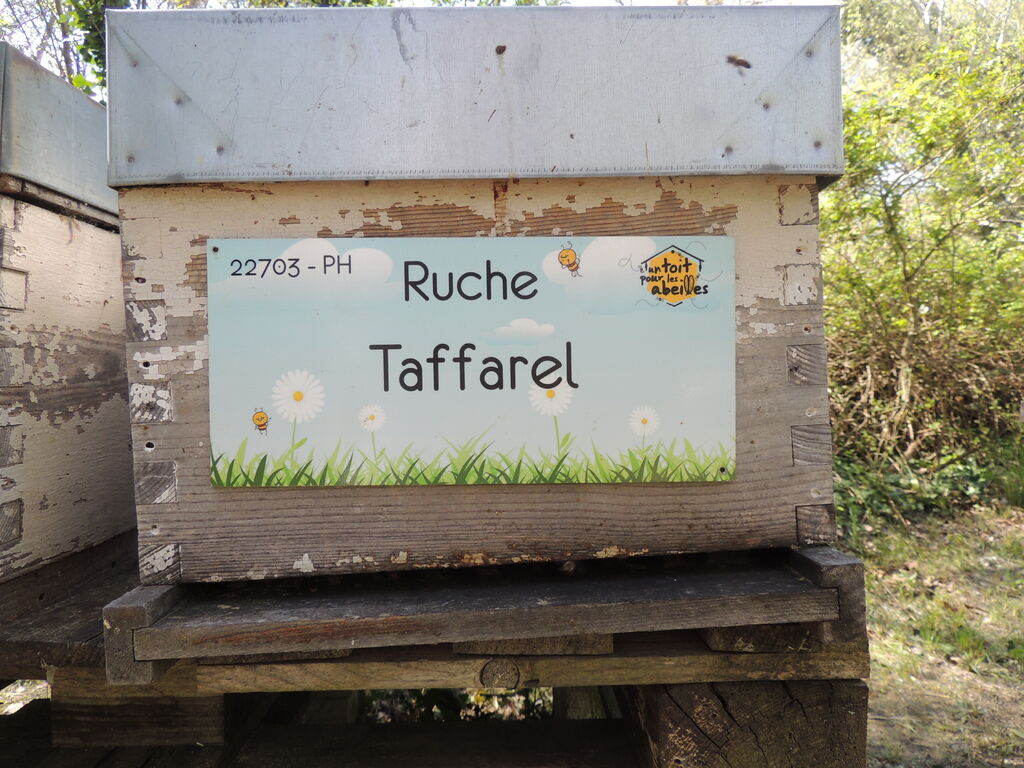 La ruche Taffarel