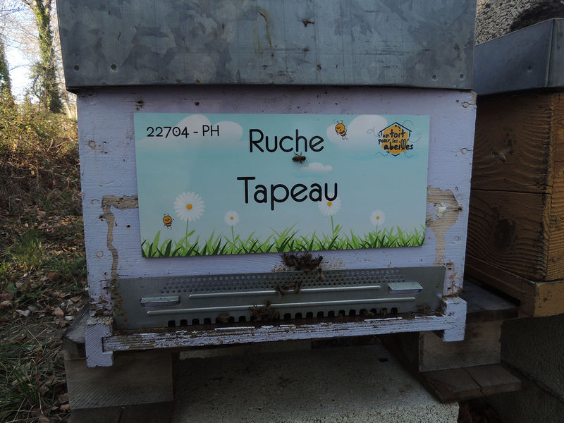 La ruche