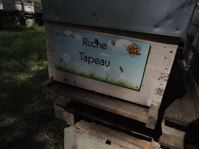 La ruche Tapeau