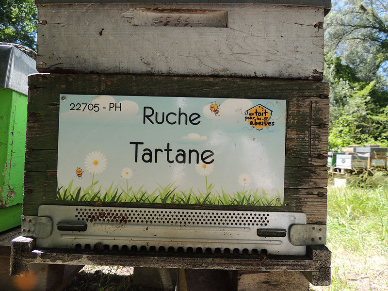 La ruche Tartane