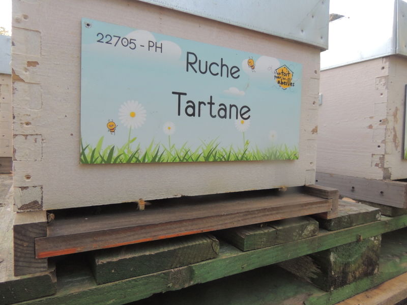 La ruche Tartane