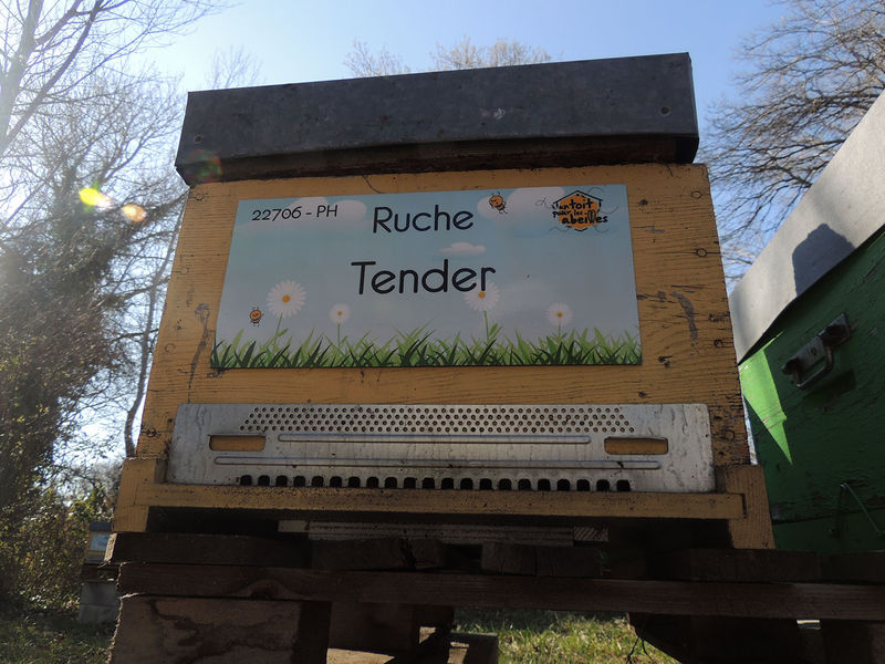 La ruche