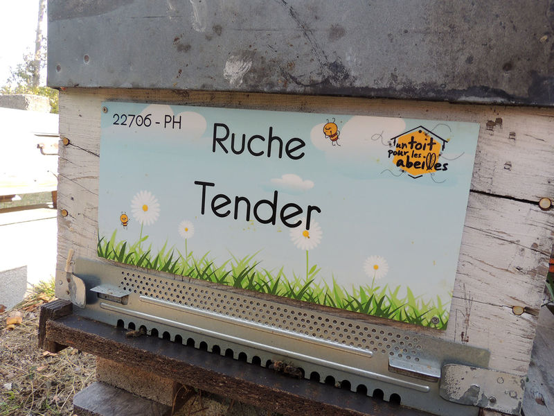 La ruche Tender
