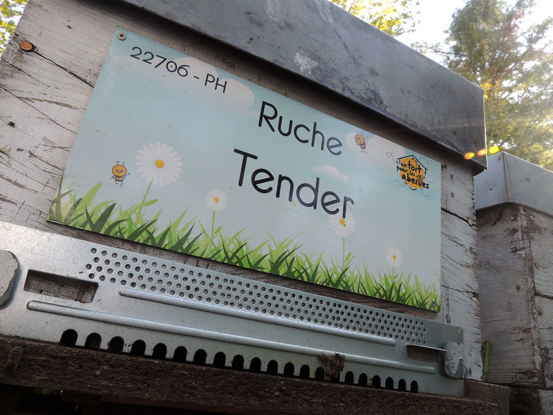 La ruche Tender