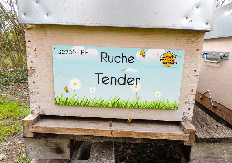 La ruche Tender