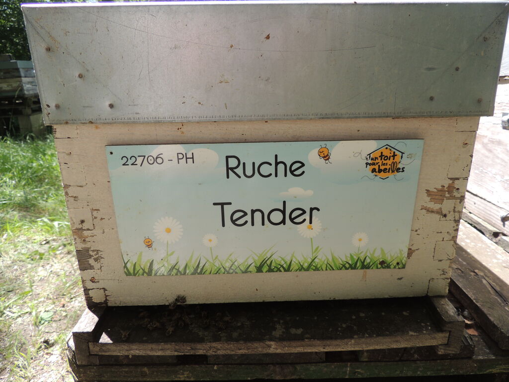 La ruche Tender