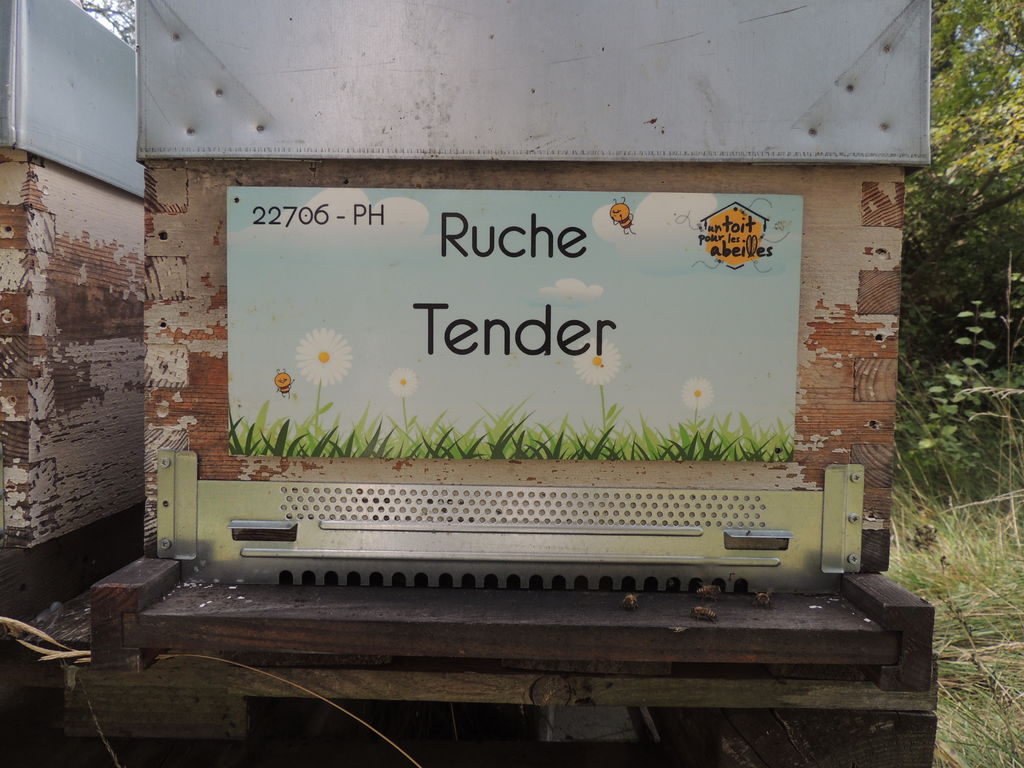 La ruche Tender