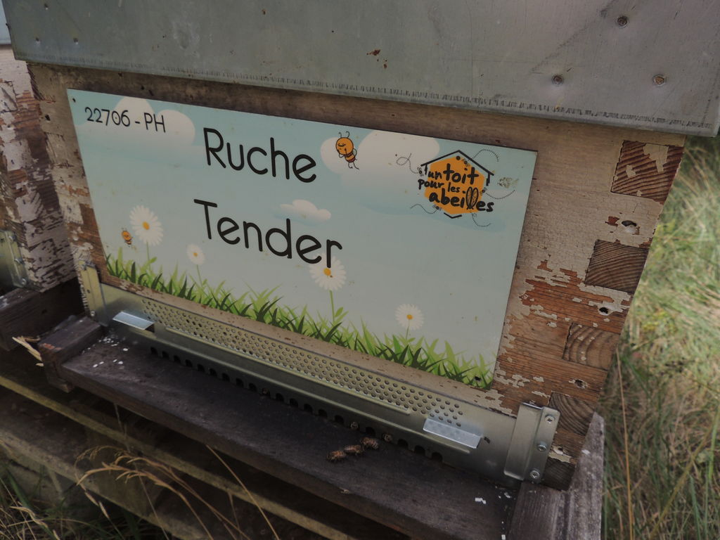 La ruche Tender