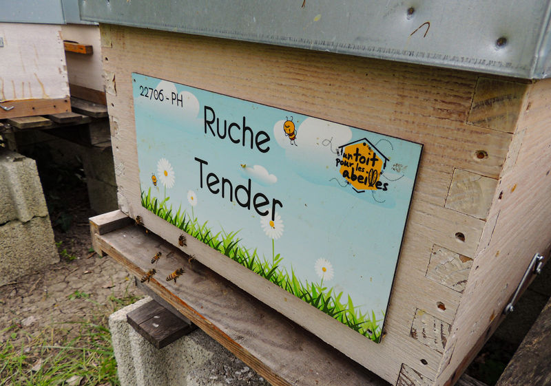 La ruche Tender