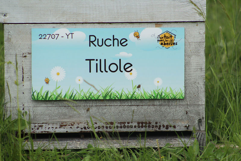 La ruche Tillole