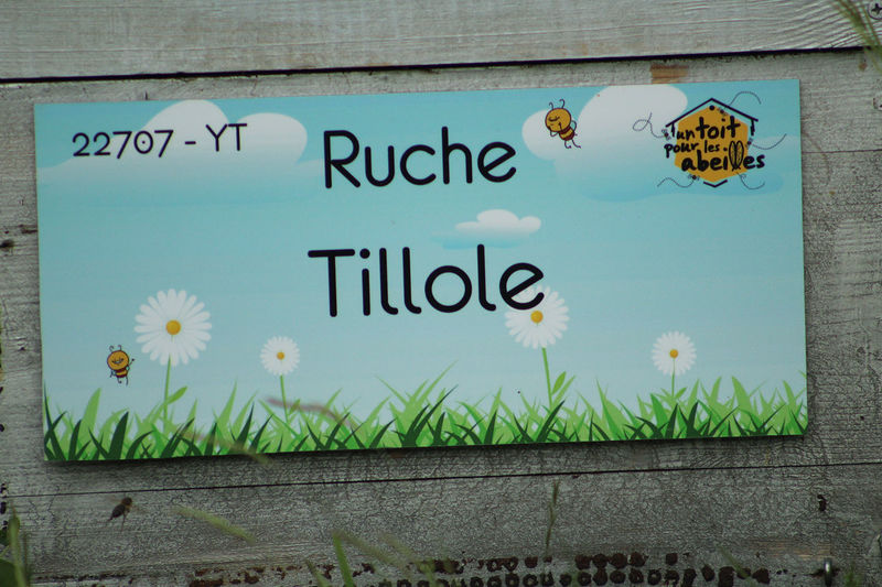La ruche Tillole
