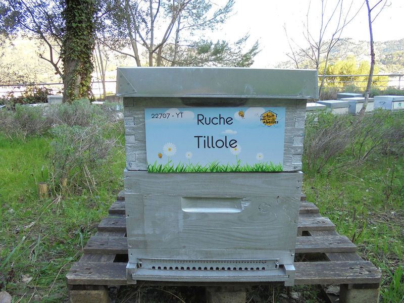 La ruche Tillole
