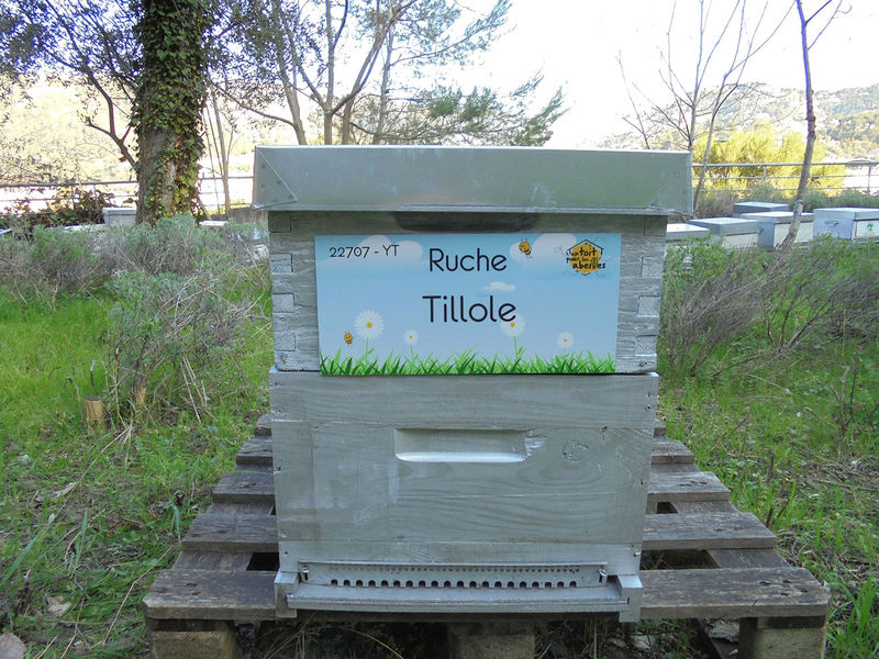 La ruche
