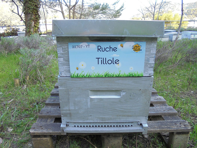 La ruche Tillole