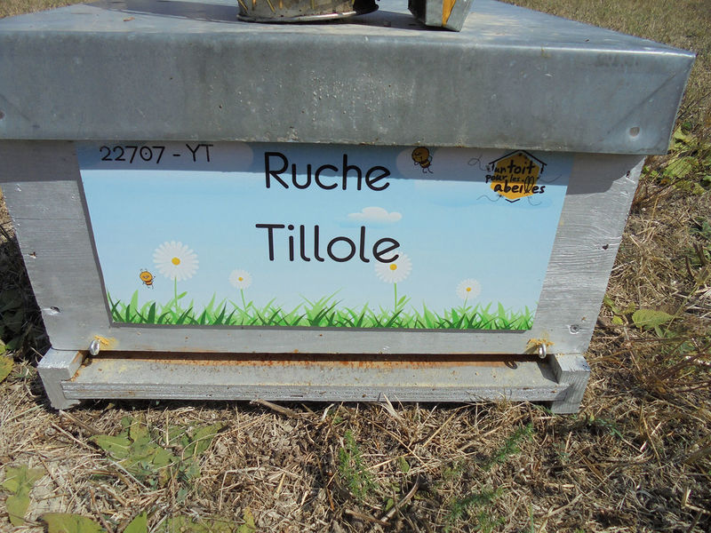 La ruche Tillole