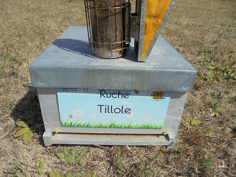 La ruche Tillole