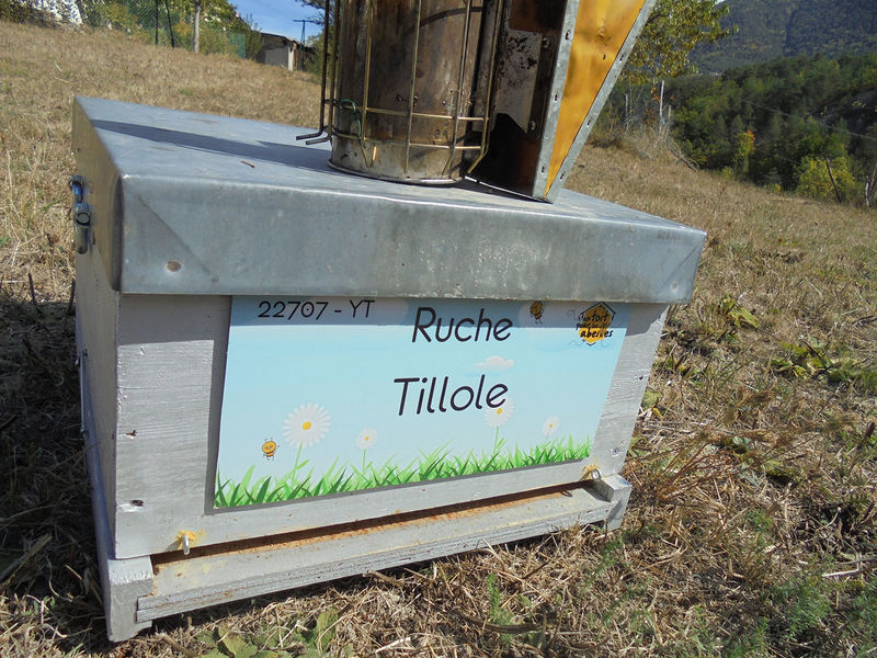 La ruche Tillole
