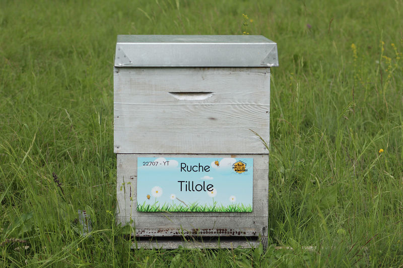 La ruche Tillole