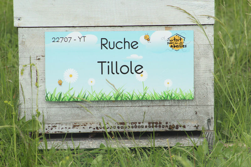 La ruche Tillole