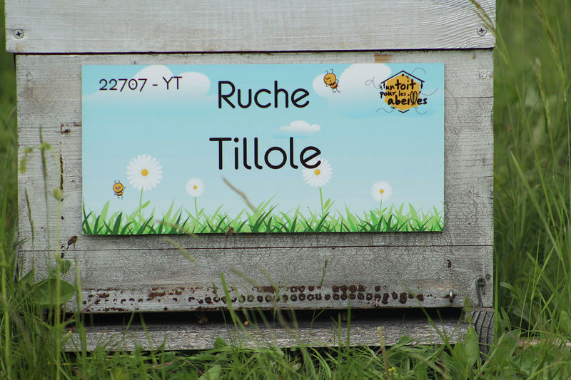 La ruche Tillole