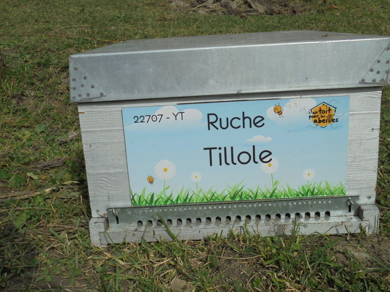 La ruche Tillole