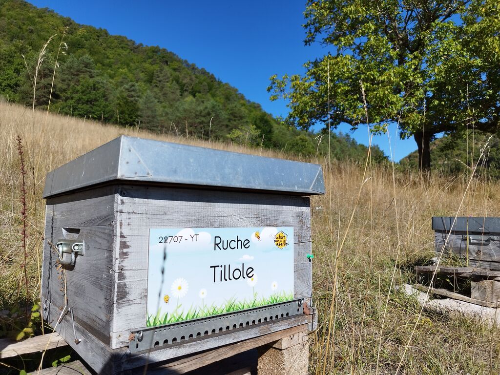 La ruche Tillole