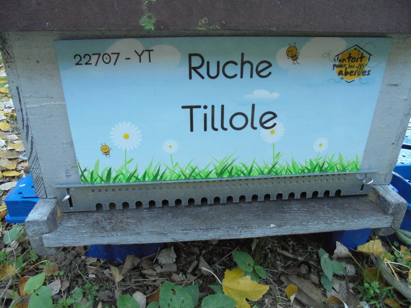 La ruche Tillole