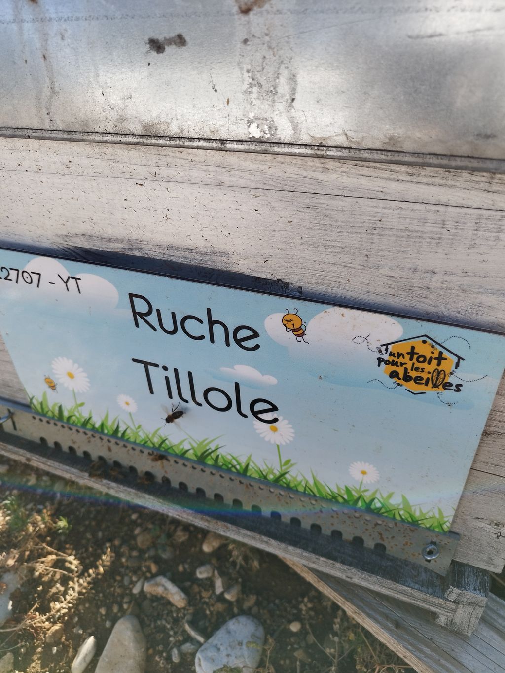 La ruche Tillole