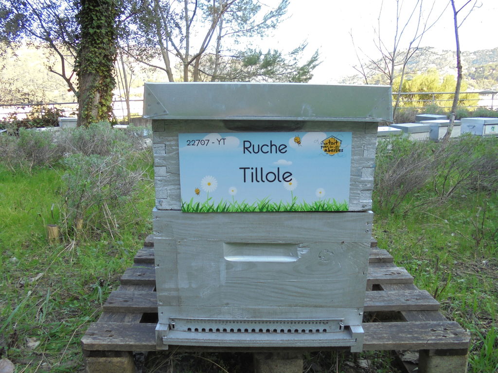 La ruche Tillole