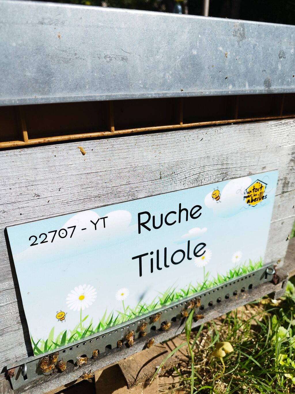 La ruche Tillole