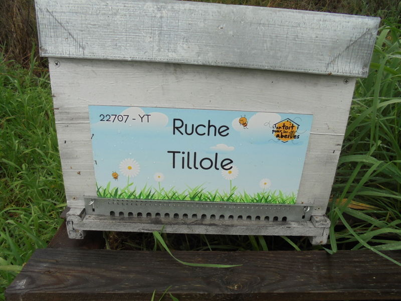 La ruche Tillole