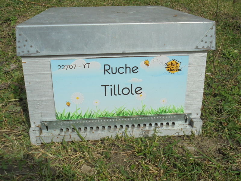 La ruche Tillole