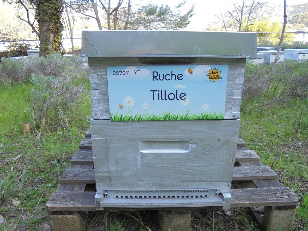 La ruche Tillole