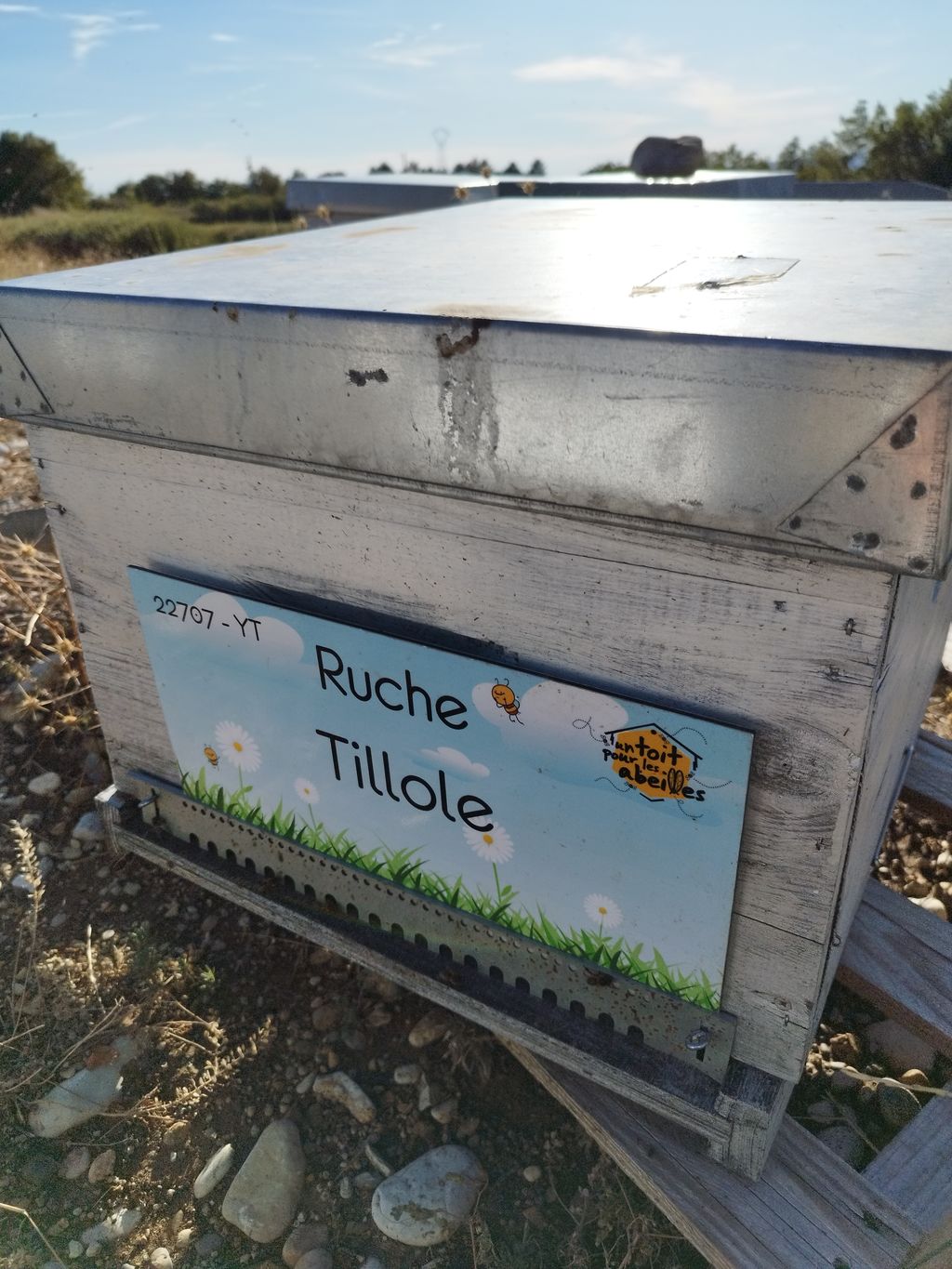 La ruche Tillole