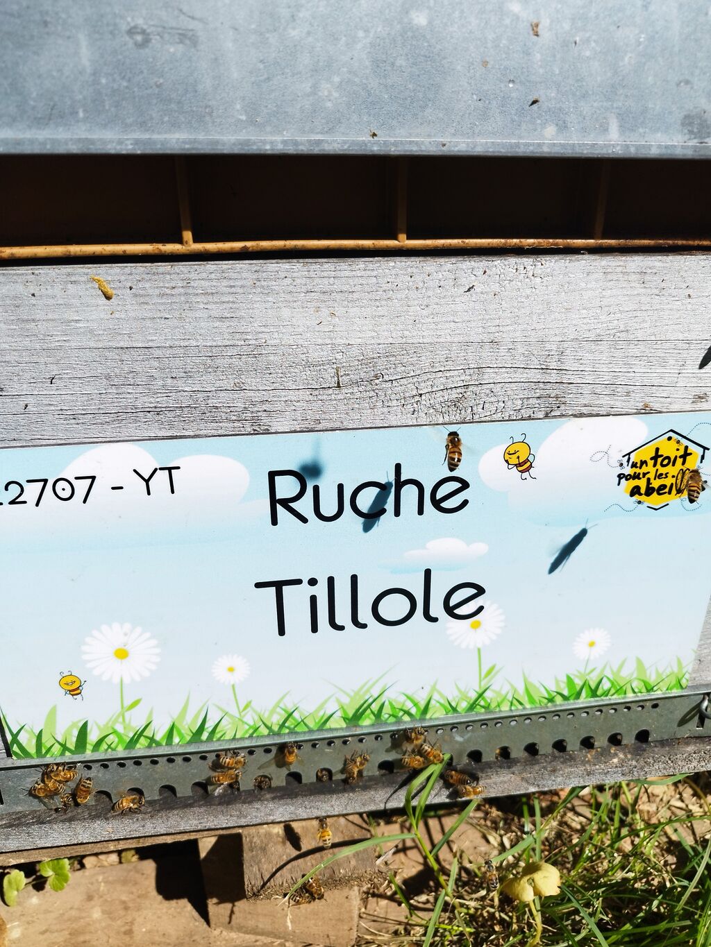 La ruche Tillole