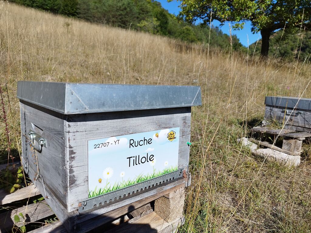 La ruche Tillole