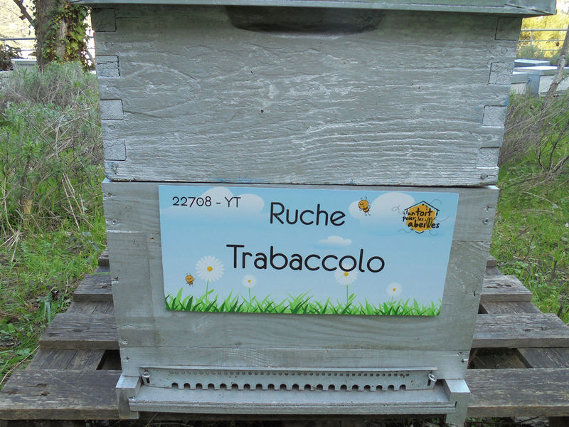 La ruche