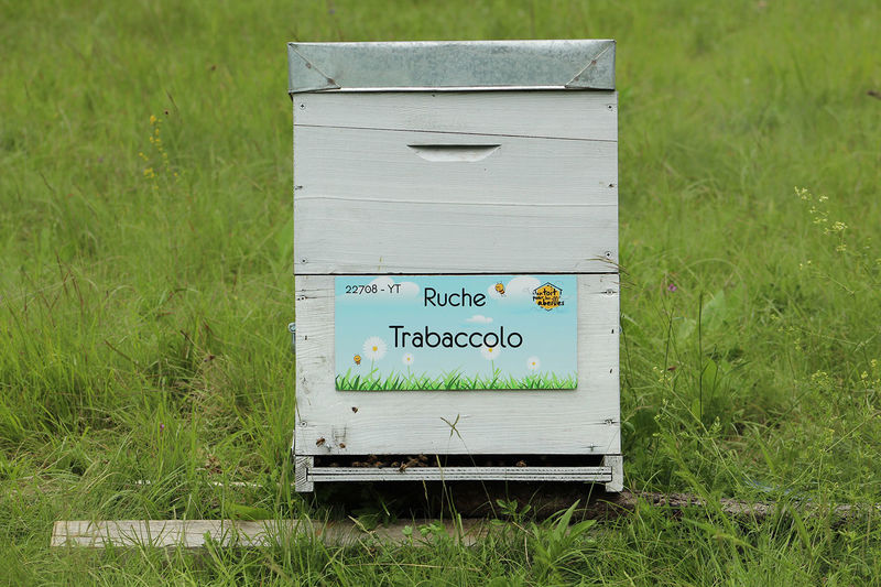 La ruche Trabaccolo