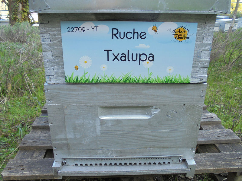 La ruche