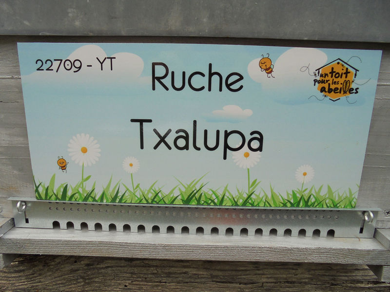 La ruche Txalupa