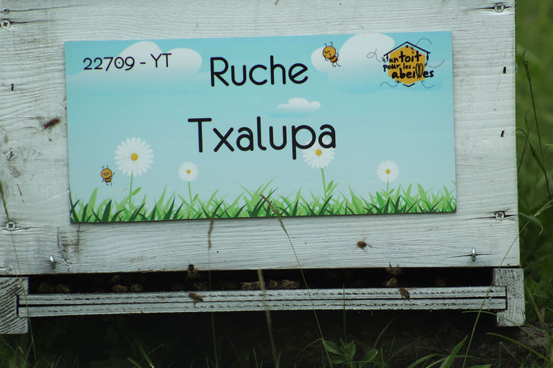 La ruche Txalupa