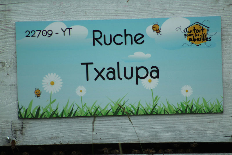 La ruche Txalupa