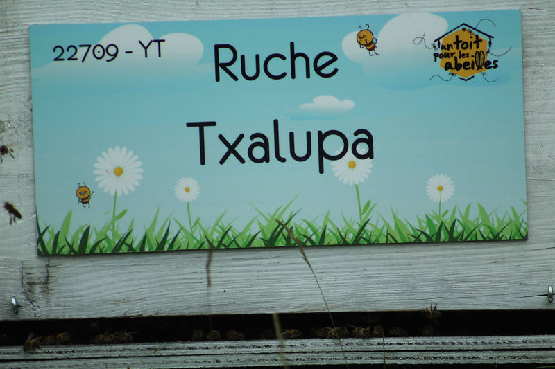 La ruche Txalupa