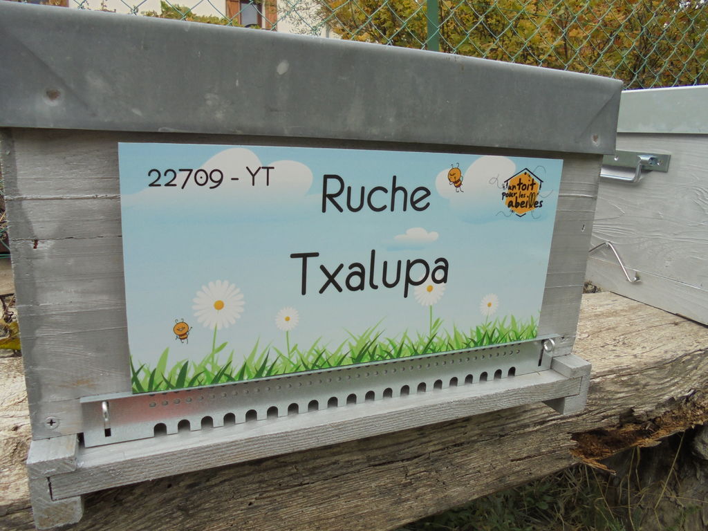 La ruche Txalupa