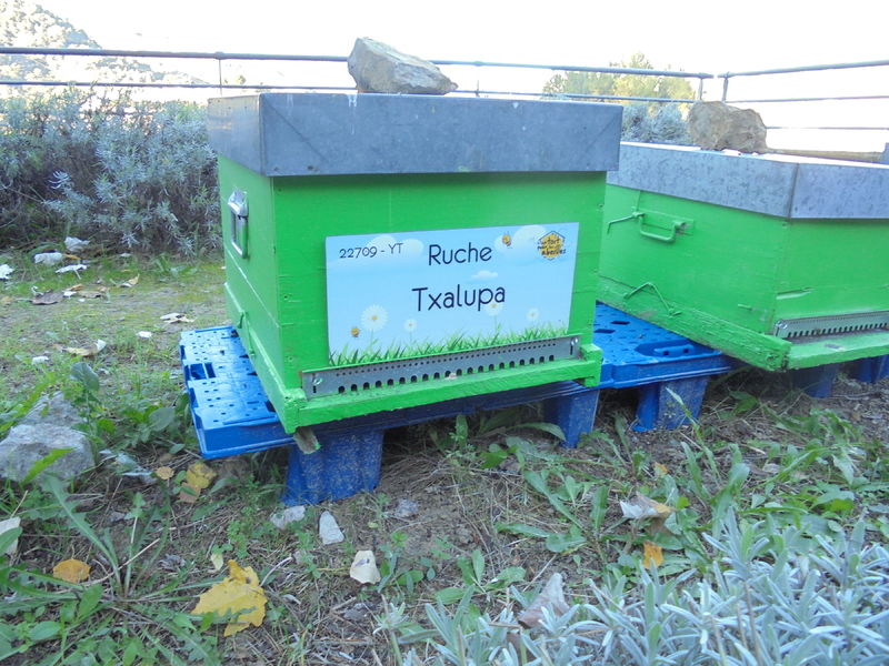 La ruche Txalupa