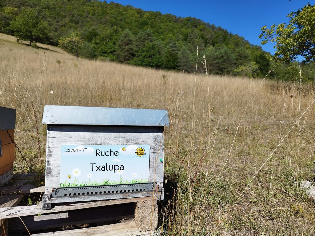 La ruche Txalupa