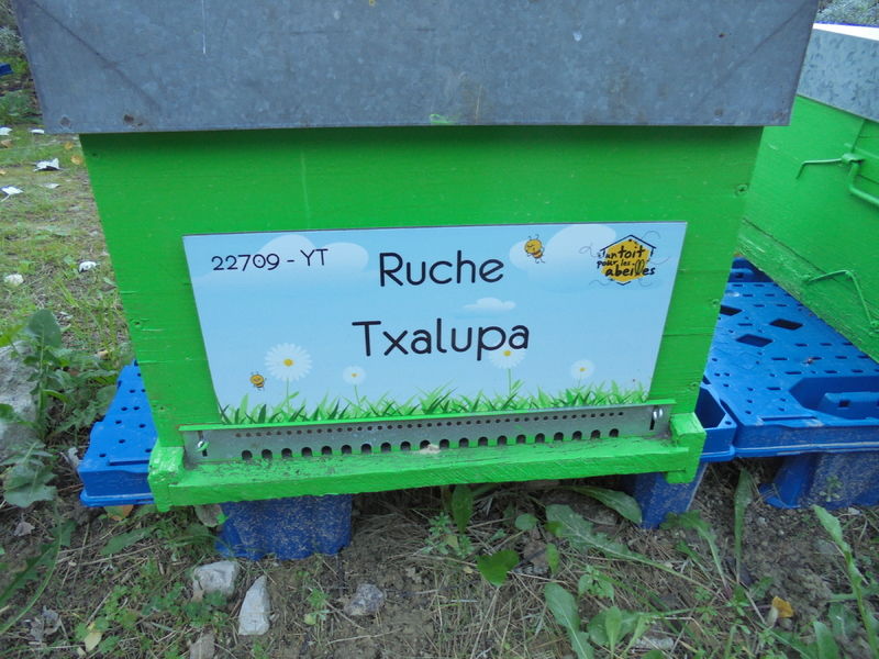 La ruche Txalupa