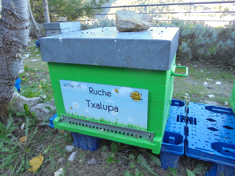 La ruche Txalupa
